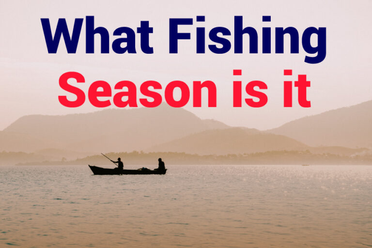 What Fishing Season Is It