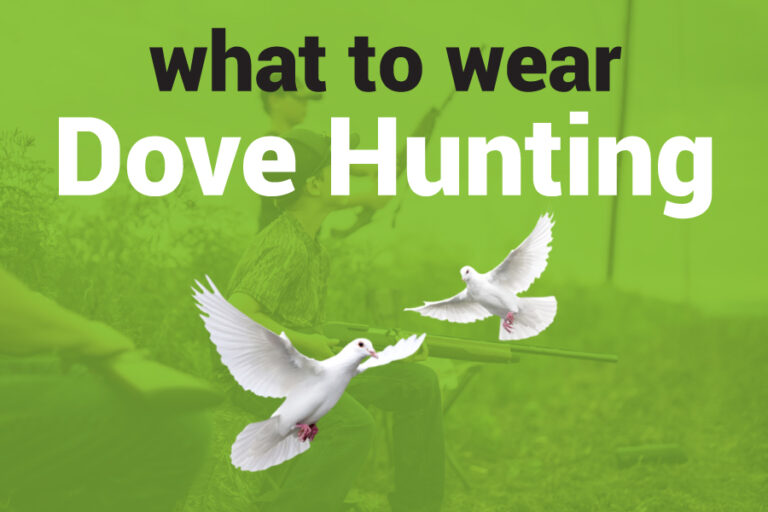 What To Wear Dove Hunting