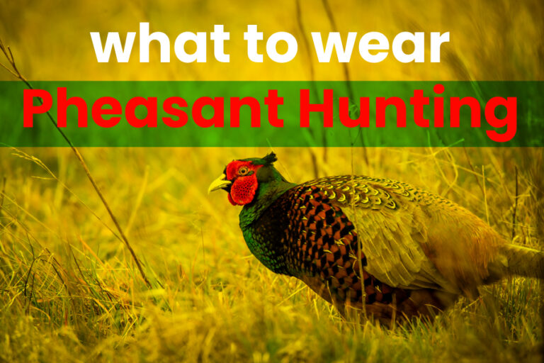 What To Wear Pheasant Hunting