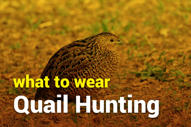 What To Wear Quail Hunting