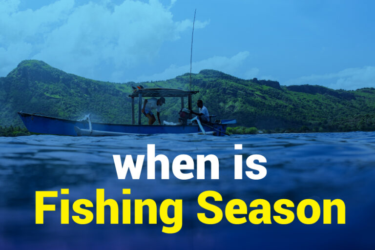 When Is Fishing Season