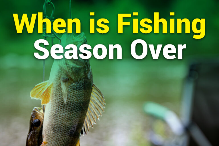 When Is Fishing Season Over